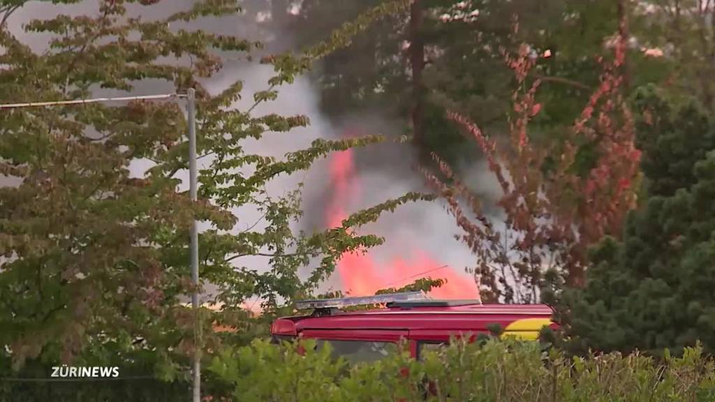 Inferno im Zirkus: Zelt, Wohnwagen und Kostüme verbrannt