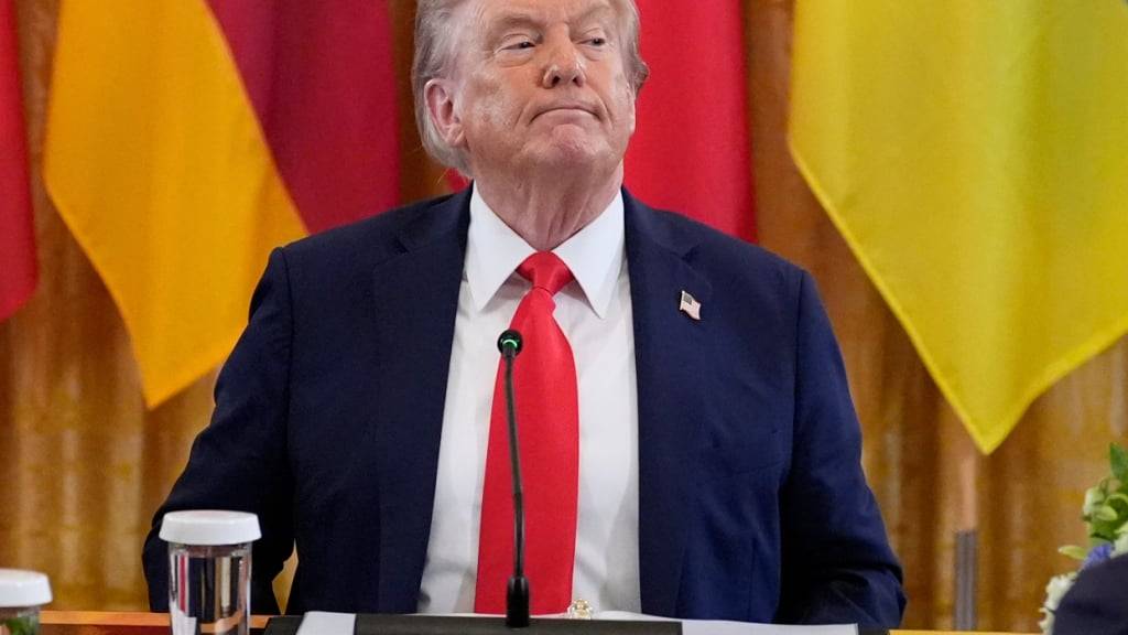 US-Präsident Donald Trump nimmt an einem Treffen mit dem ukrainischen Präsidenten Selenskyj im Weißen Haus teil. Foto: Alex Brandon/AP/dpa