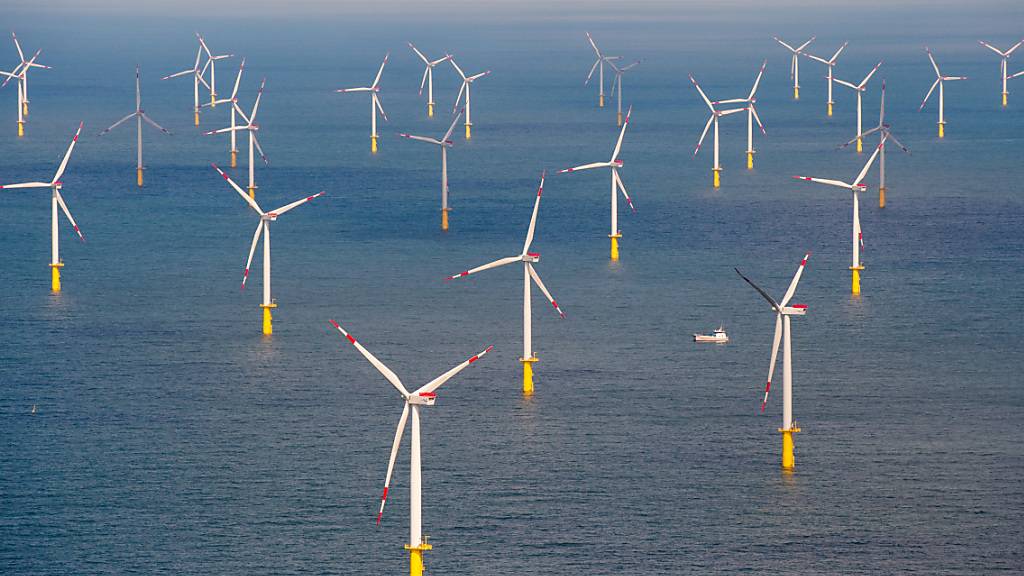 Ein neuer Offshore-Windpark soll den Chemiestandort Ludwigshafen des deutschen BASF-Konzerns ab 2030 mit Energie versorgen - im Bild der Windpark Butendiek vor der Nordsee-Insel Sylt. (Archivbild)