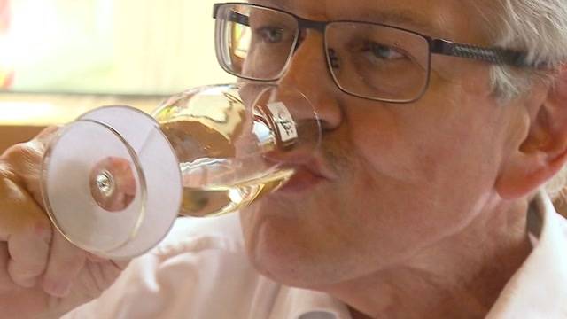 Die Suche nach dem Aargauer Staatswein 2016