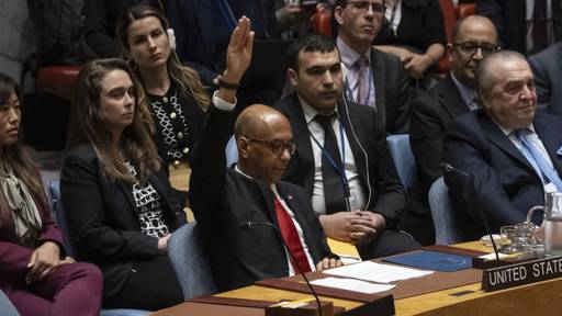 US-Veto im Sicherheitsrat gegen UN-Vollmitgliedschaft für Palästina