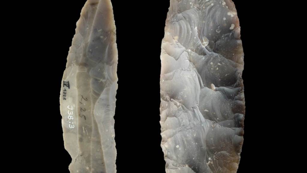 Zuvor wurde vermutet, dass die Steinklingen von Neandertalern gemacht wurden - nun zeigte sich, dass Homo Sapiens dafür verantwortlich sind.