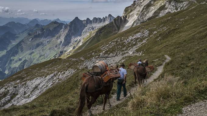 Erfolg: Appenzeller Whiskytrek wird verlängert