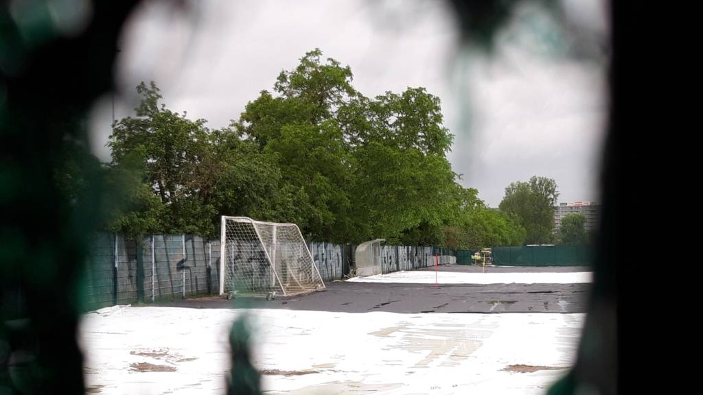 Trainingsfeld des FC Basel ist wegen Japankäfer-Massnahmen gesperrt