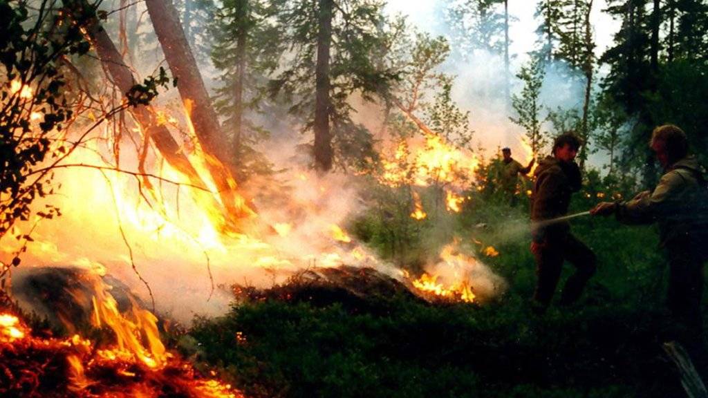 Tosende Flammenhölle in der russischen Taiga: Jetzt sollen noch mehr Flugzeuge bei der Brandbekämpfung helfen. p