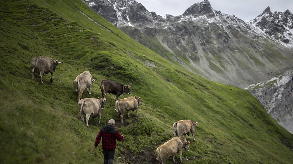 Die Nationalratskommission möchte im nächsten Jahr der Landwirtschaft mehr Gelder zukommen lassen, als dies der Bundesrat geplant hat. (Themenbild)
