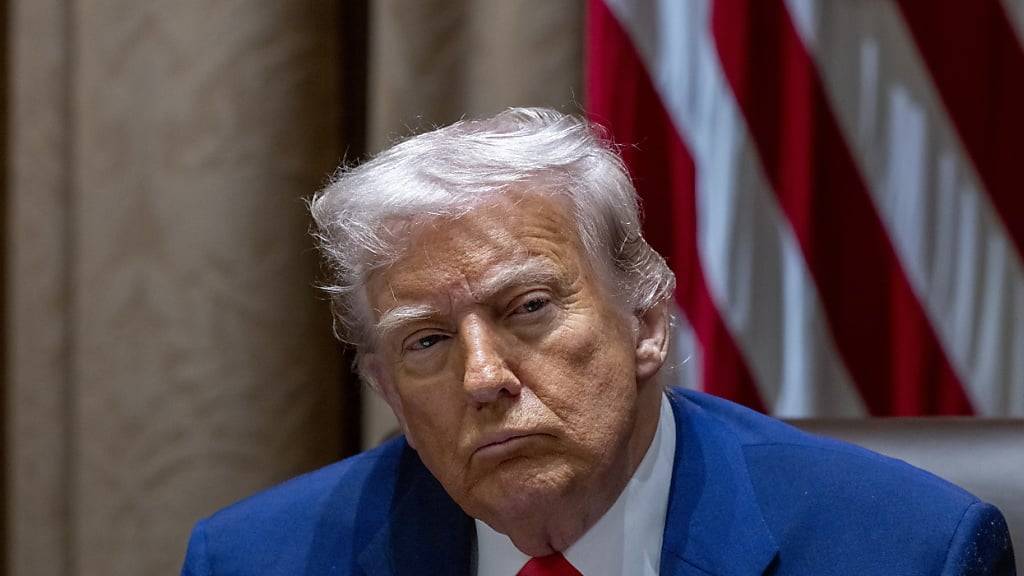 Trump hatte zuletzt in zwei Stufen die Zölle für ausländische Einfuhren massiv erhöht. (Archivbild)