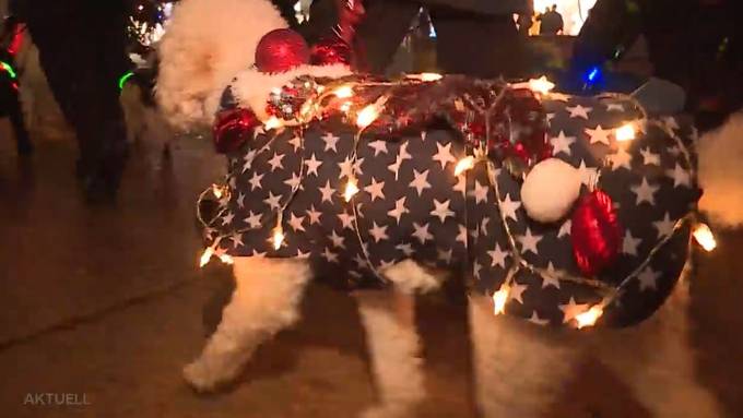 Grenchner Hunde feiern im Lichterketten-Kostüm Weihnachten