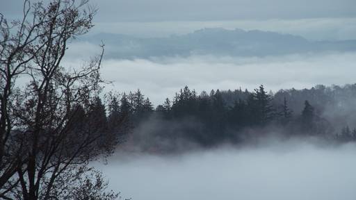Das Nebelmeer vom Uetliberg