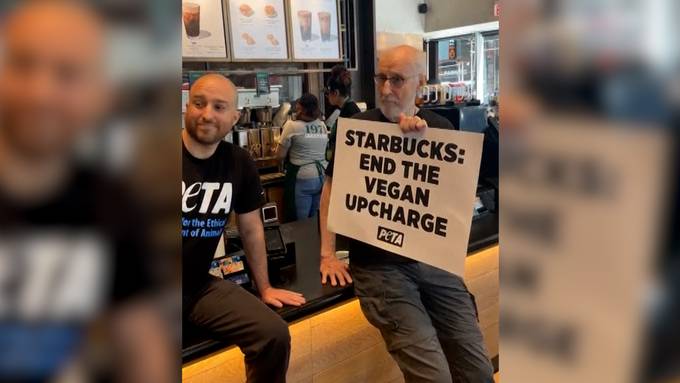 Schauspieler James Cromwell klebt sich an Starbucks-Theke fest