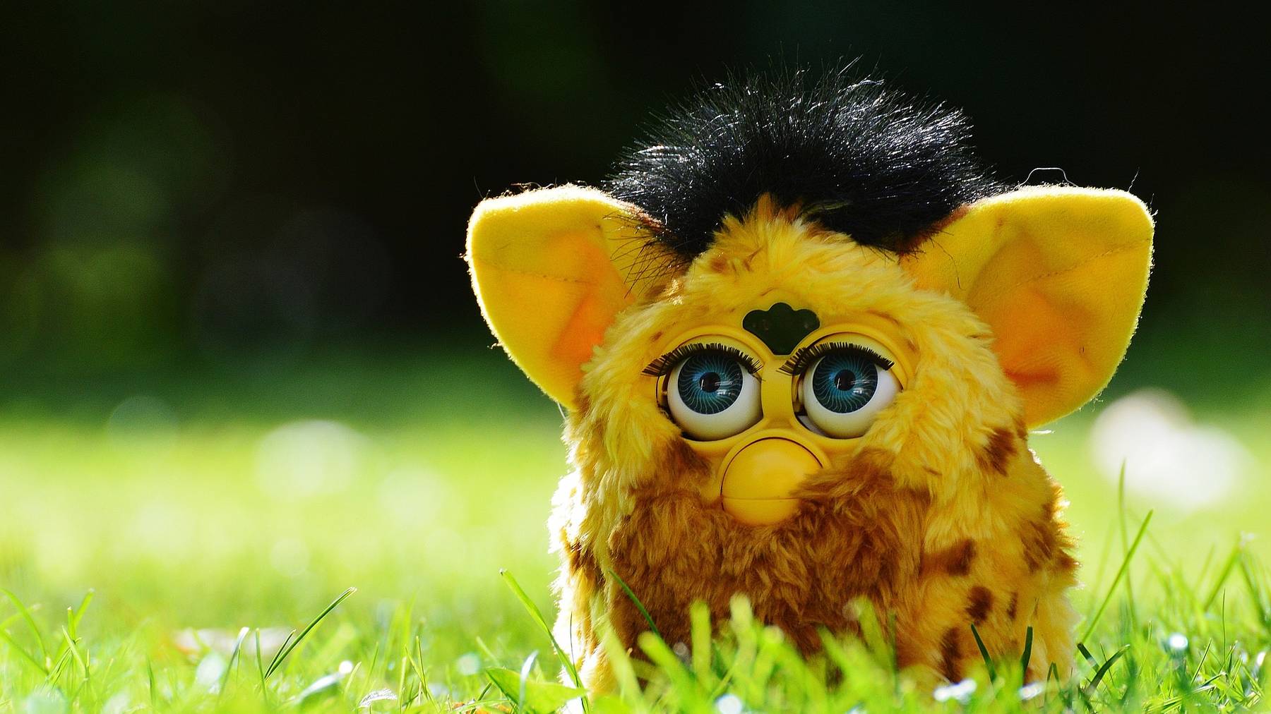 Furby