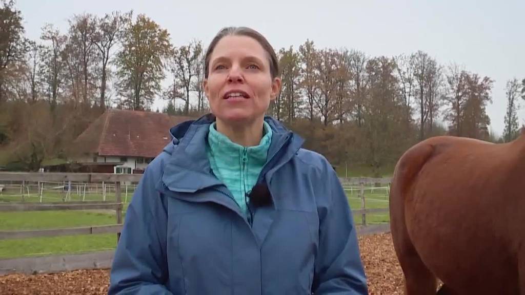 Dein Tier, mein Job: Tanja Bärtschiger und ihr Draht zu Tieren 