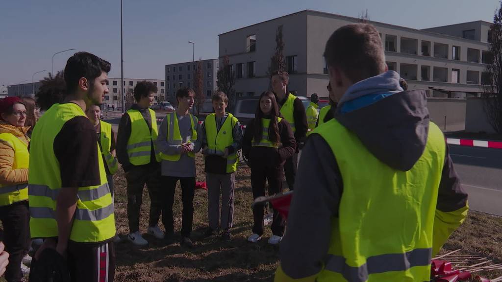 Tatort Natur: Littering ist immernoch ein Problem