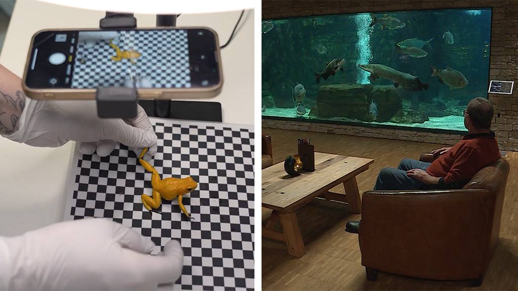 Neue Forschungsstation Zoo Zürich / Hotel Aquarium