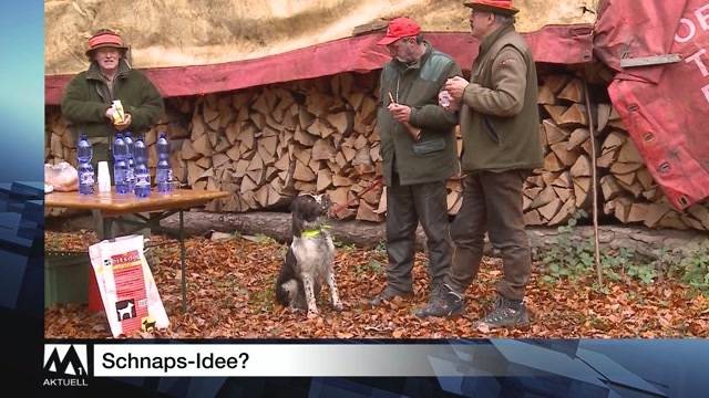Schlagzeilen