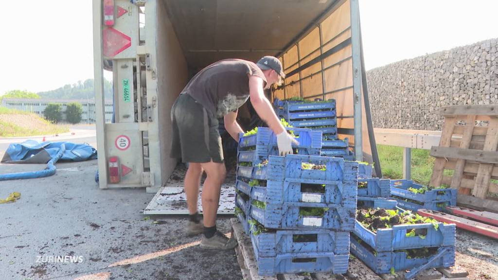 Anhänger gekippt: 100'000 Salatsetzlinge unbrauchbar