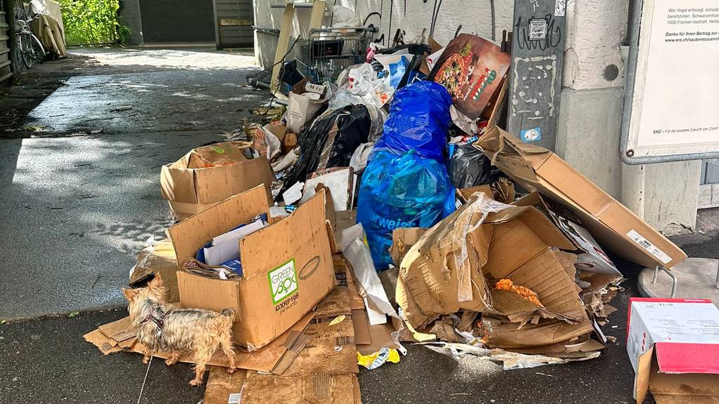 Wer vermüllt die Wiediker Marienstrasse? Abfall stapelt sich seit Monaten