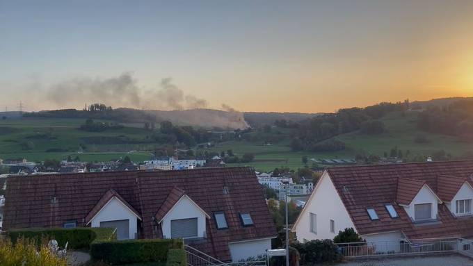 Auto brennt in Tunnel: Dunkle Rauchwolken steigen über Birmensdorf auf