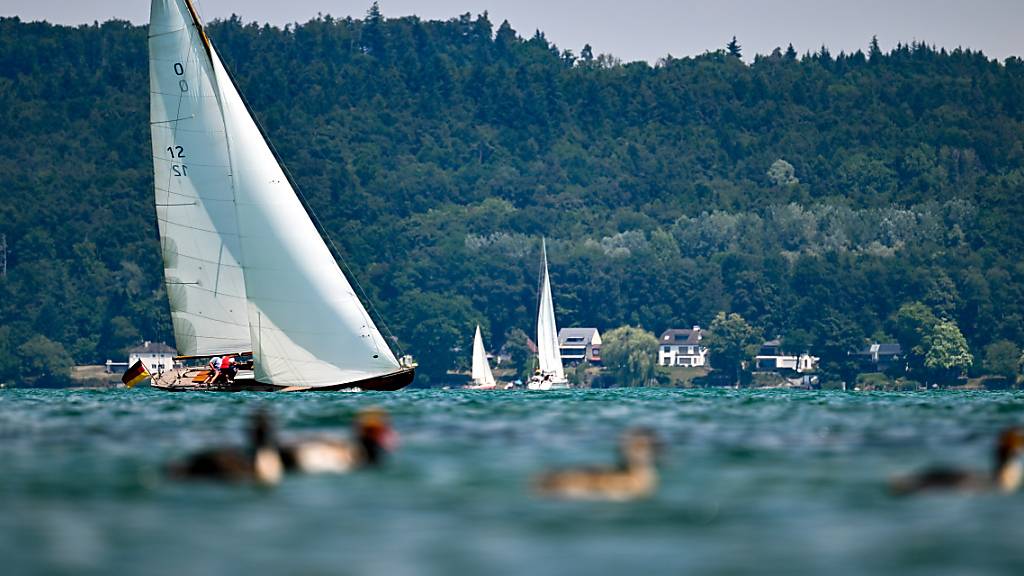Segel- und Ruderboote trifft man auf dem Bodensee immer wieder an. Foto: Felix Kästle/dpa