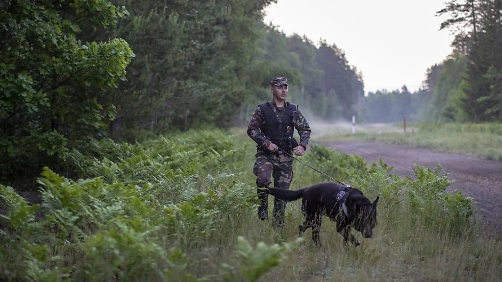 Ein Mitglied des litauischen Grenzschutzes patrouilliert mit einem Hund an der Grenze zu Belarus.