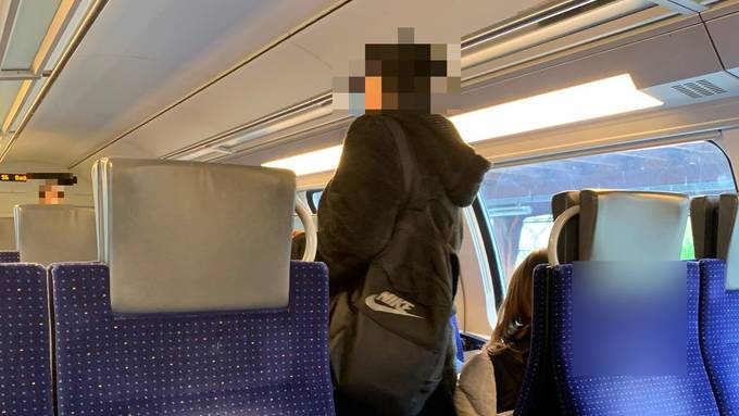 Bettlerinnen verunsichern Reisende in S-Bahnen – Verein warnt vor Clans