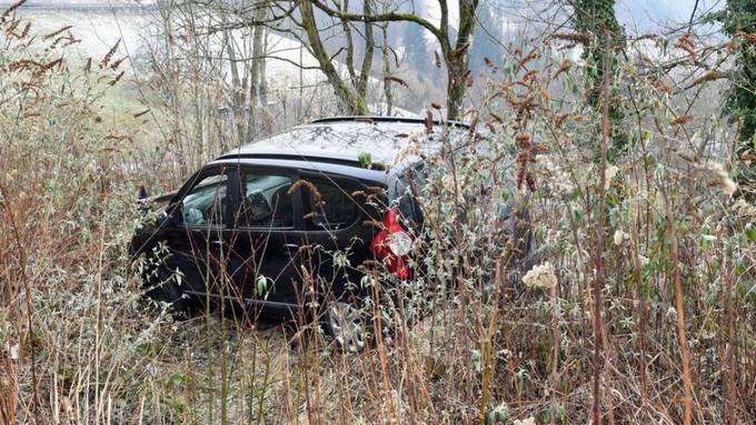 Autofahrer kommt mit 2,7 Promille von der Strasse ab