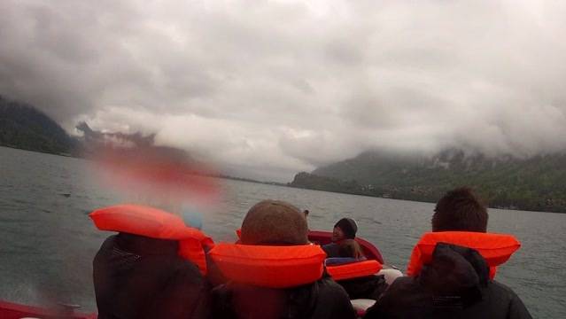 BLS steigt ins Jetboot-Geschäft ein
