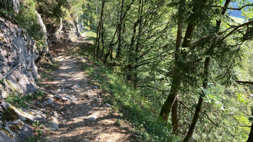 Der betagte E-Mountainbiker kam im Tobelwald oberhalb von Mollis GL vom Schabziger Höhenweg ab und stürzte 150 Meter tief in den Tobelwald.