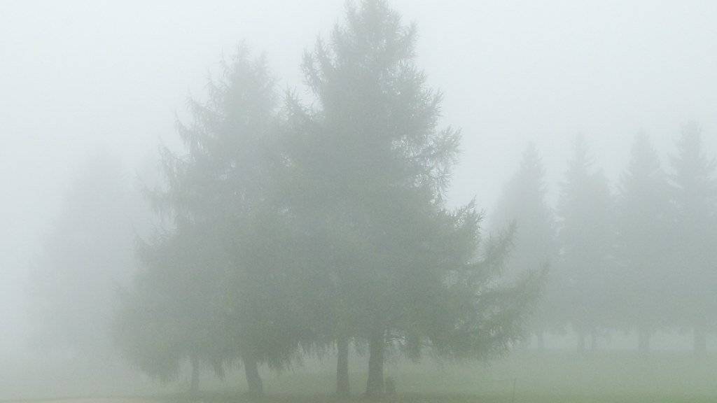 Zu wenig Sicht für  die Longhitter: Nebel setzte den Golfern zu