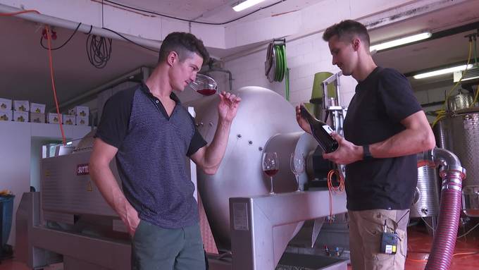 Jungwinzer übernehmen das Zepter – Weinbau Ottiger in neuen Händen