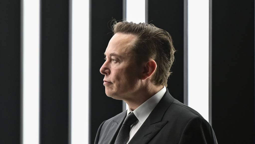 Elon Musk, Tesla-Chef, hat sich Twitter-Aktien im grossen Stil gekauft. Nun vermuten andere Aktionäre des Kurznachrichtendienstes Wertpapierbetrug. 