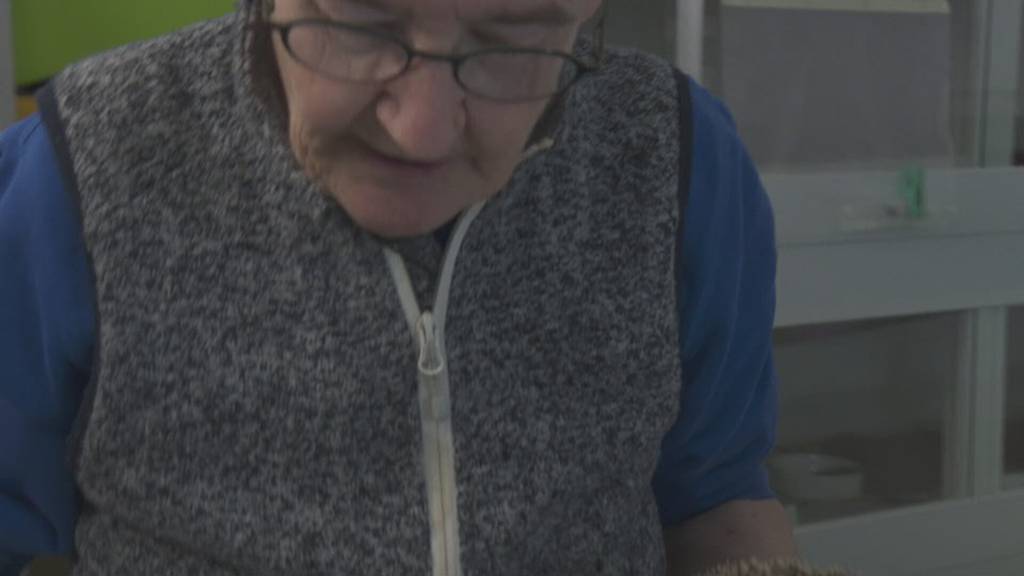 Igelhilfe Zug und Luzern – Einblick in eine Igelstation