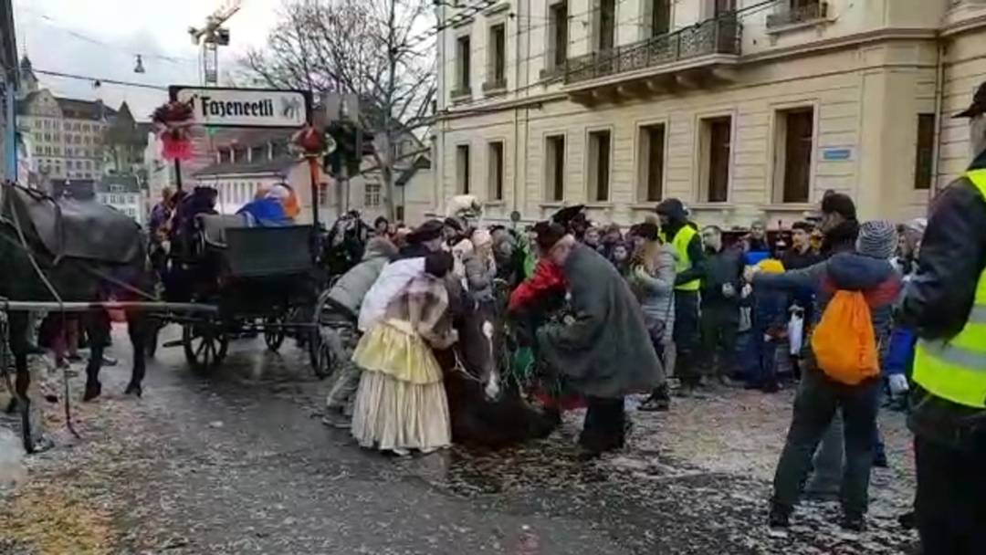 Chaisen-Unfall am Montags-Cortège: Der Kutscher und zahlreiche Helfer versuchen, das gestürzte Pferd aufzurichten