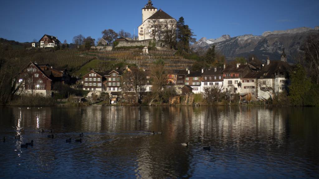Aus einem Auto floss Öl in den See beim Städtchen Werdenberg SG. (Archivbild)