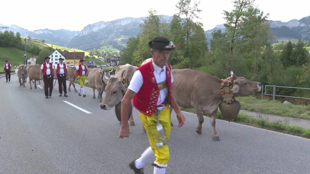 Alpabfahrt im Appenzellerland: Vieh kehrt zurück ins Tal