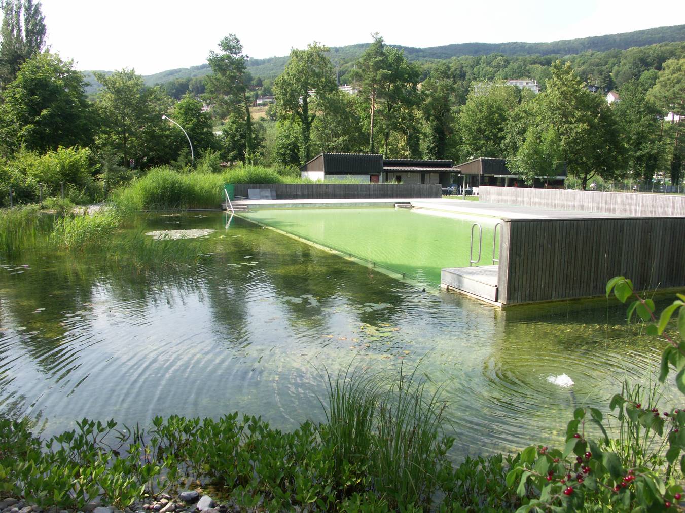 Das Biobad in Biberstein wird von der Natur selbst gesäubert.