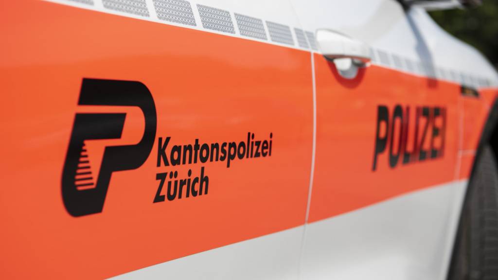 DIe Kantonspolizei Zürich verhaftete in der Nacht auf Donnerstag einen 22-jährigen Franzosen. Er steht im Verdacht, mehrere Einbrüche begangen zu haben. (Symbolbild)