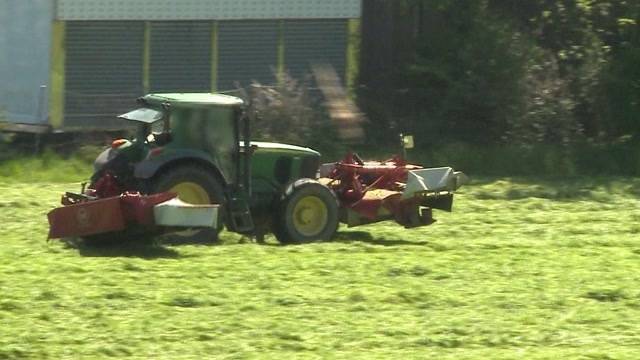Bauer tötet in Dulliken Rehkitz