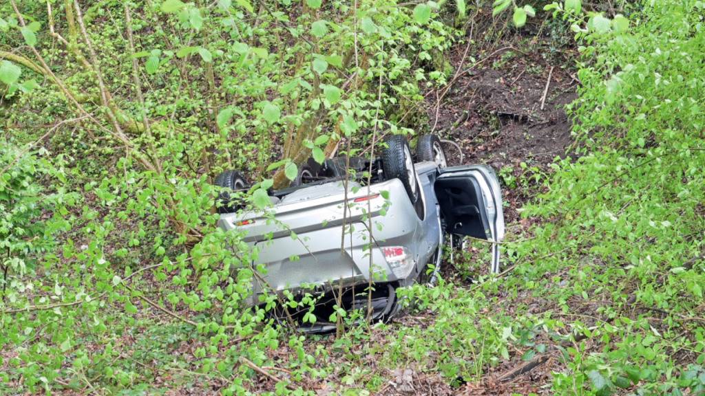 Auto stürzt in Luzern Böschung hinunter - 81-jährige Frau verletzt