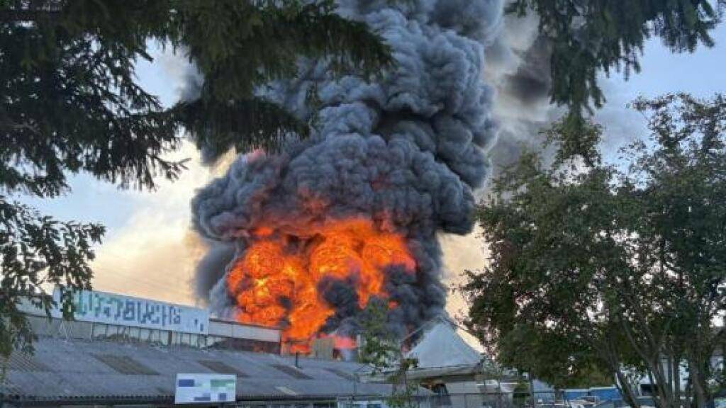 Brand auf Schrottplatz in Buchs ZH verursacht hohen Sachschaden