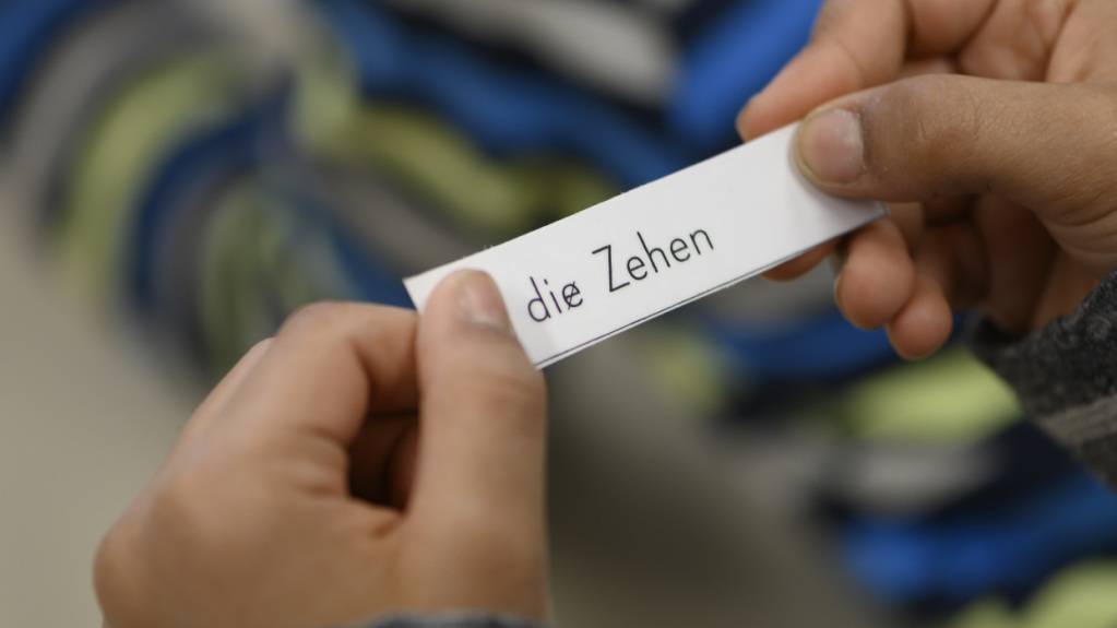 Deutsch als Zweitsprache-Unterricht an einer Primarschulklasse. (Symbolbild)