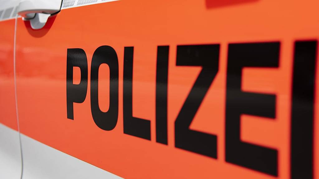 Nach einem neuerlichen Brandfall auf Elgger Gemeindegebiet geht die Zürcher Kantonspolizei ein weiteres Mal von Brandstiftung aus. (Symbolbild)