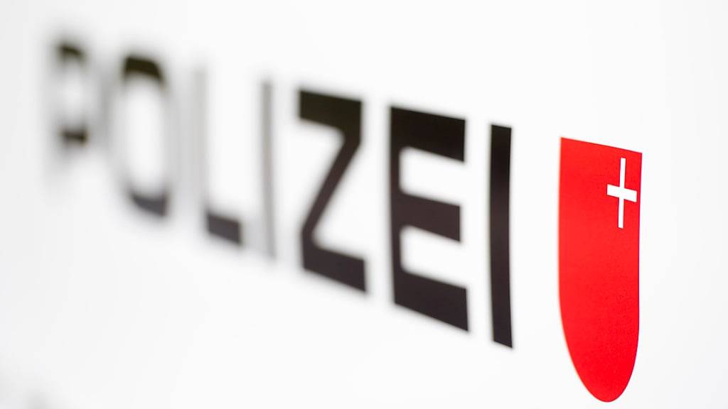 Die Kantonspolizei Schwyz ist am Mittwoch wegen eines Falschfahrers ausgerückt. (Symbolbild)