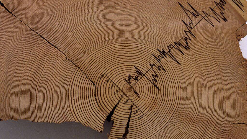 Dürreperioden im Alpenraum kamen laut Studie immer wieder vor