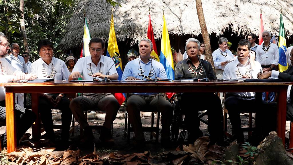 Führende Vertreter von Brasilien, Bolivien, Kolumbien, Ecuador, Guyana, Surinam und Peru wollen Massnahmen zum Schutz des Regenwaldes im Amazonas bündeln.