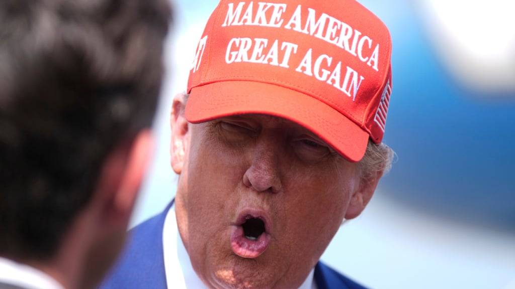 Präsident Donald Trump spricht mit Reportern. Foto: Manuel Balce Ceneta/AP/dpa