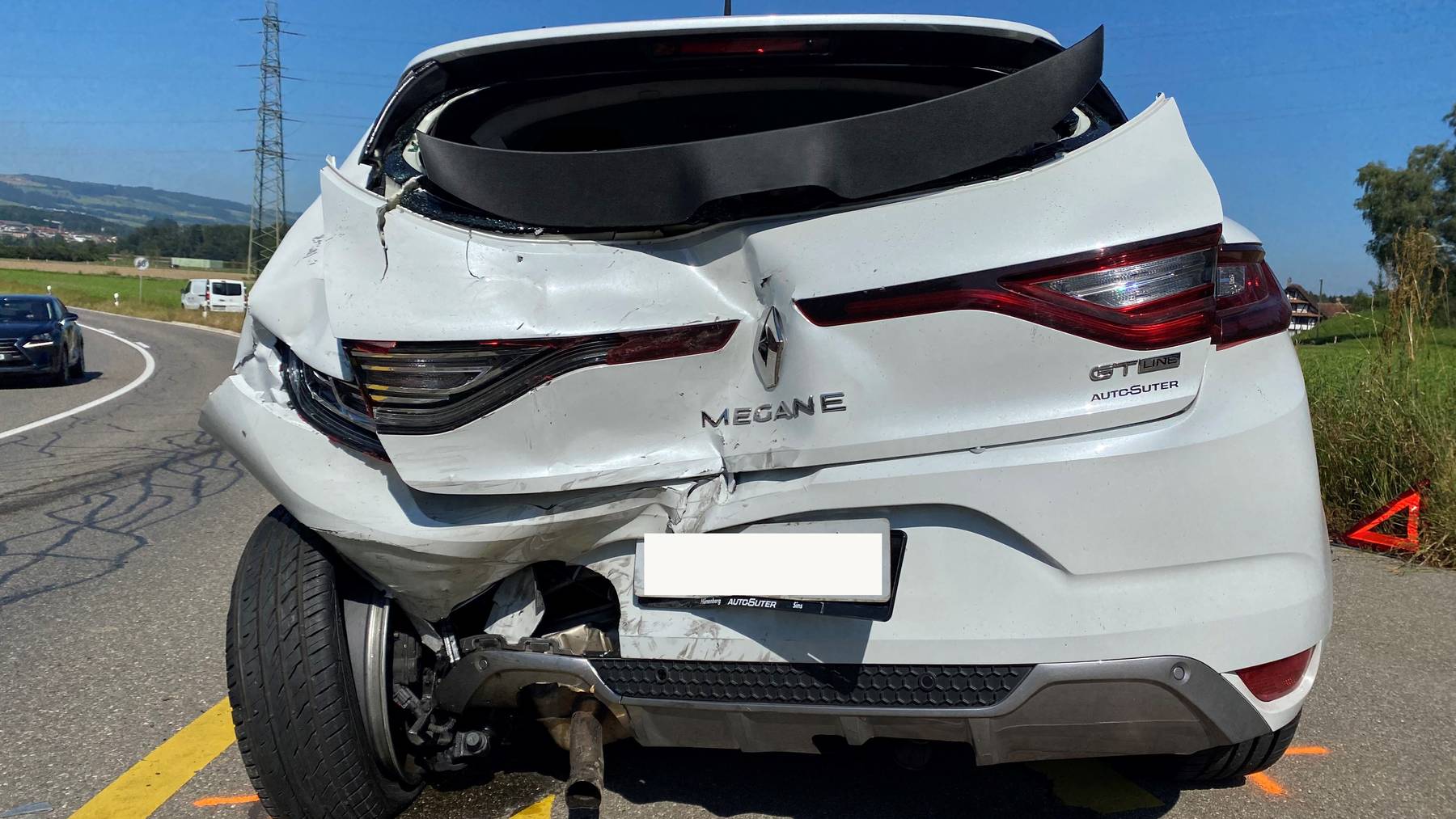 Der Fahrer des Renault Megane musste verletzt ins Spital. 