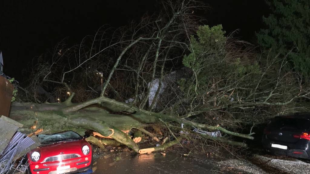 Sturm Petra hielt Rettungskräfte die ganze Nacht wach