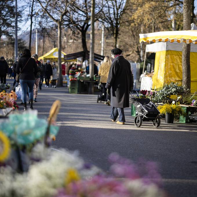 Bürkliplatz-Marktfahrende sammeln 9000 Unterschriften gegen neuen Standort