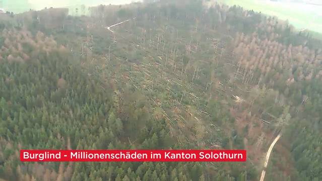 Swiss News